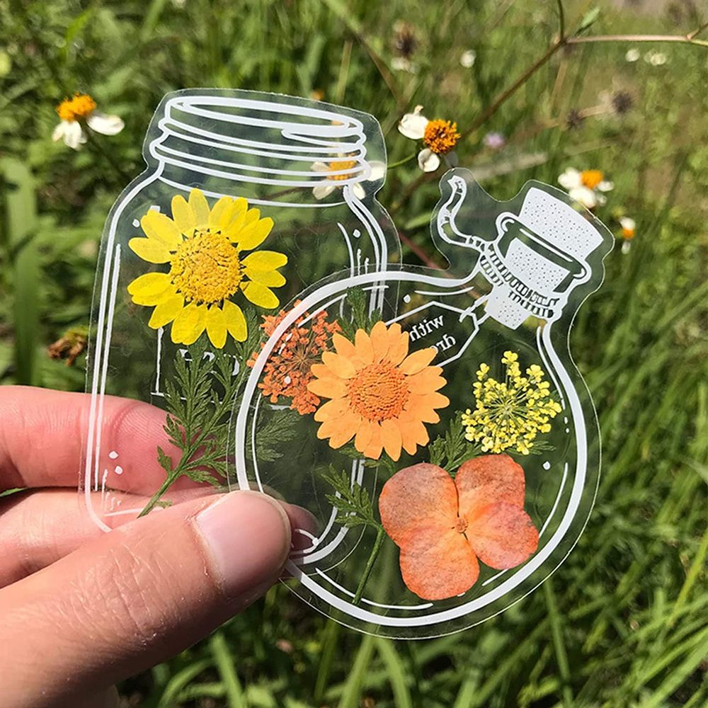 30Pcs DIY Transparent Dried Fl - Dried Flower Bookmark 评论和价格
