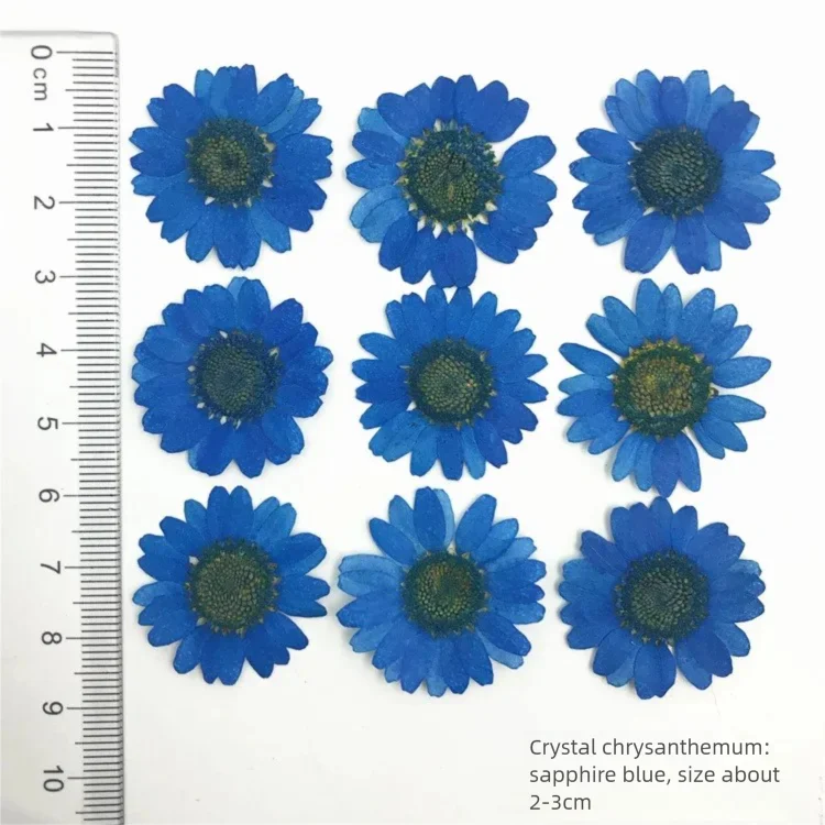 100Pcs Dyed Chrysanthemum Drie - Dried Flower Bookmark 评论和价格