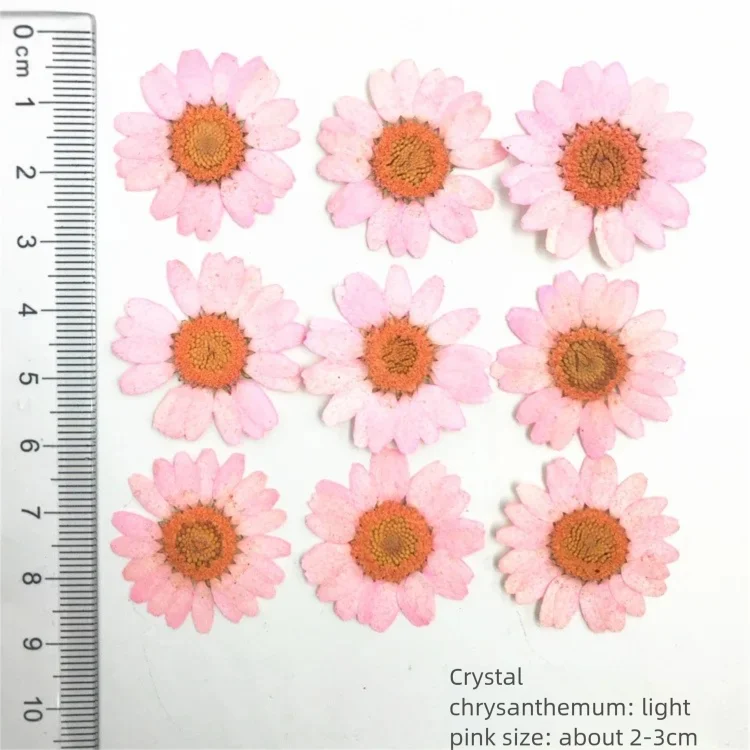 100Pcs Dyed Chrysanthemum Drie - Dried Flower Bookmark 评论和价格