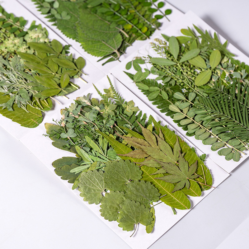 1Set 35pcs Pressed Dried Flowe - Dried Flower Bookmark 评论和价格