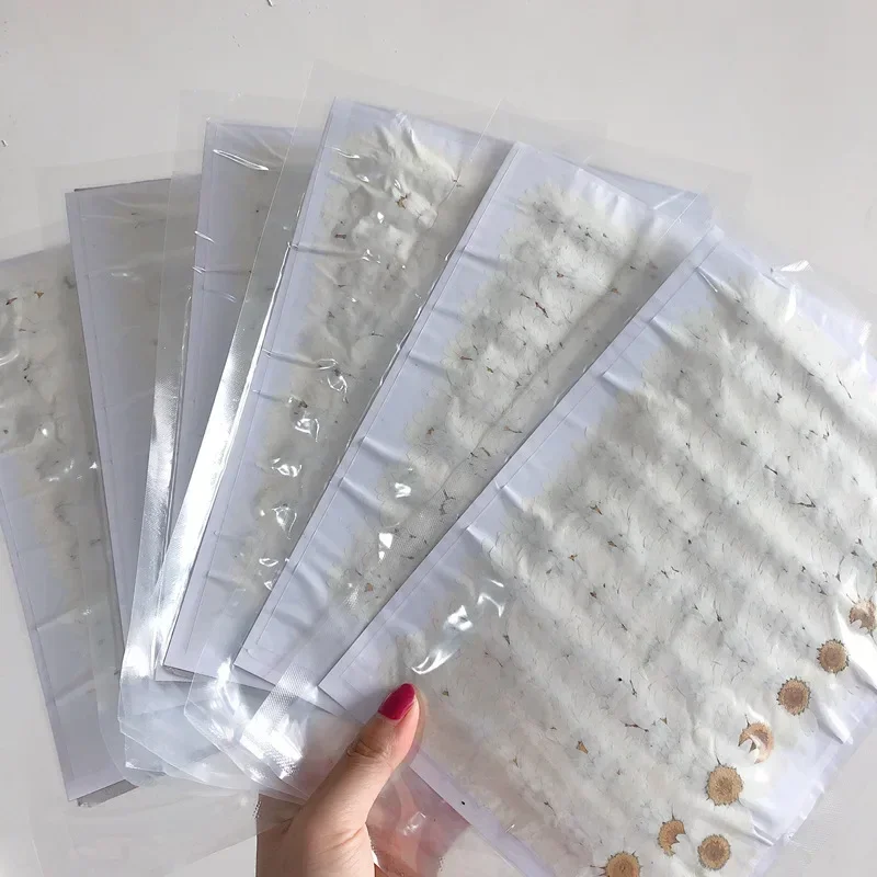 60X Pressed Dried White/Dyed C - Dried Flower Bookmark 评论和价格
