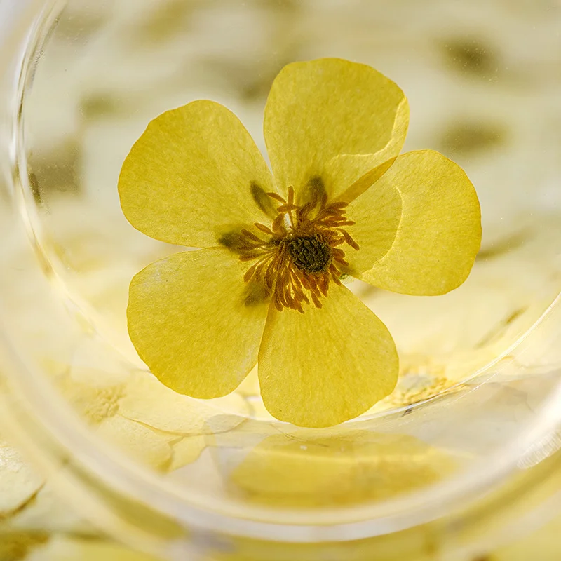 100Pcs Ranunculus Dried Flower - Dried Flower Bookmark 评论和价格