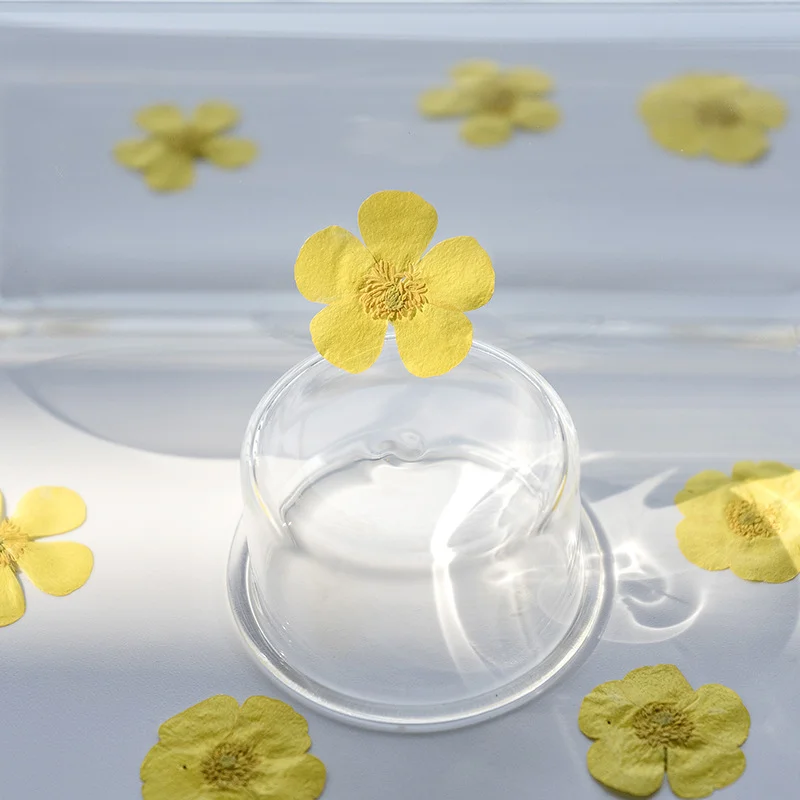 100Pcs Ranunculus Dried Flower - Dried Flower Bookmark 评论和价格