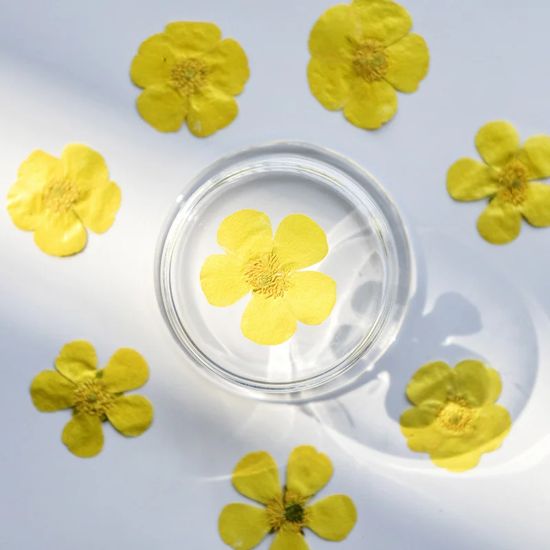 100Pcs Ranunculus Dried Flower - Dried Flower Bookmark 评论和价格