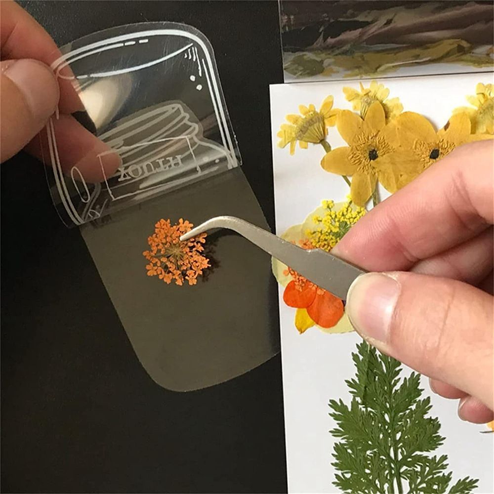 30Pcs Transparent Dried Flower - Dried Flower Bookmark 评论和价格